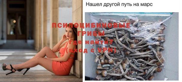 первитин Алексин