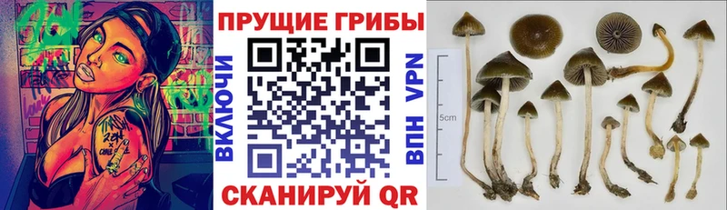 Псилоцибиновые грибы мухоморы  Палласовка 